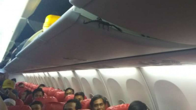 Penampakan kalajengking di bagasi kabin pesawat Lion Air nomor penerbangan JT-293 rute Pekanbaru-Jakarta sesaat setelah mendarat di Bandara Soekarno-Hatta, Tangerang, Kamis, 14 Februari 2019.