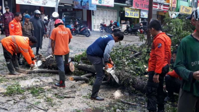 Petugas memotong dahan pohon yang tumbang di Bogor, Sabtu, 16 Februari 2019.