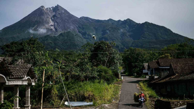 Warga mencari rumput di lereng Gunung Merapi di Balerante, Klaten, Jawa Tengah, Senin, 18 Februari 2019.