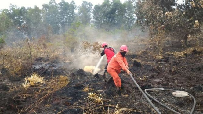 Upaya pemadaman kebakaran hutan di Riau