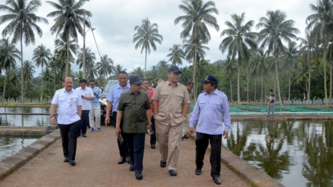 Ketua Komisi IV DPR RI Edhy Prabowo saat meninjau Perkebunan Kelapa di Desa Wusa Kabupaten Minahasa Utara.