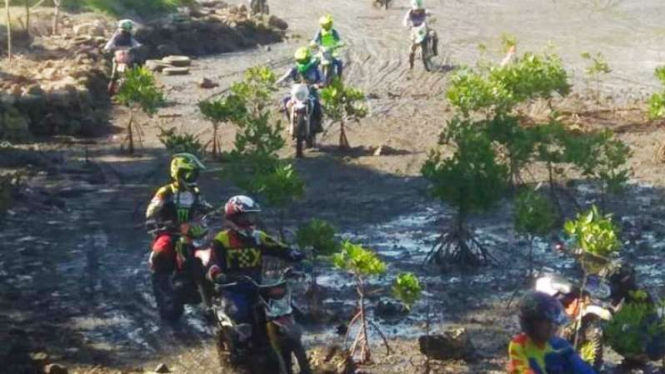 Kelompok pengendara sepeda motor trail melibas kawasan mangrove di Teluk Bima, Nusa Tenggara Barat.