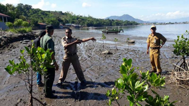 Petugas Dinas Lingkungan Hidup Kota Bima meninjau kawasan mangrove di pesisir Teluk Bima setelah lokasi itu dilaporkan habis dilintasi para penghobi sepeda motor trail pada Selasa, 26 Februari 2019.