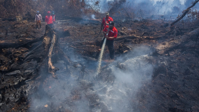 Kebakaran Hutan di Riau beberapa waktu lalu.