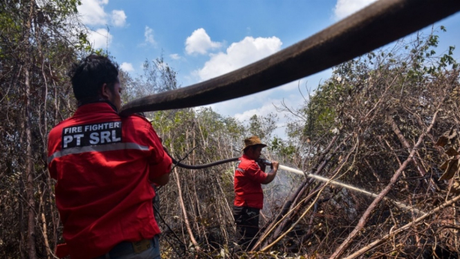 Kebakaran Hutan di Riau