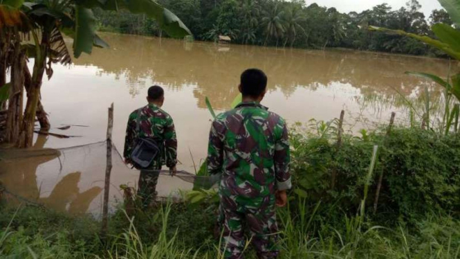 Banjir rendam sawah warga di Jambi.