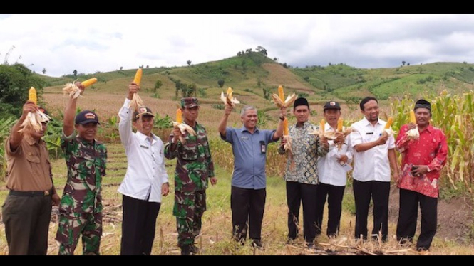 Ditjen (PSP) hadiri acara panen raya jagung di Dusun Sumberurip Desa Barurejo.