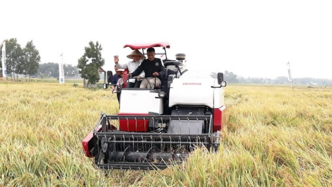  petani di Desa Sidomulyo, Kecamatan Belitang, Kabupaten OKU Timur, Sumsel.