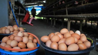  Beras hingga Telur Ayam Naik