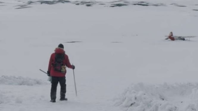 Film Arctic