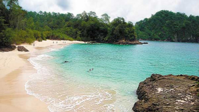  Teluk  Hijau  Pantai Eksotis di Banyuwangi  yang Wajib 