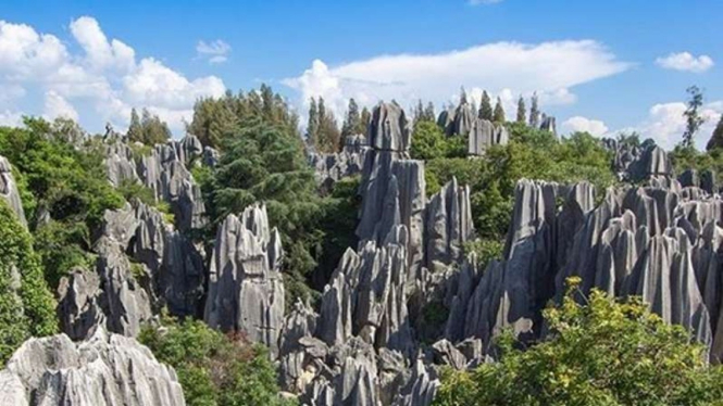 Stone Forest, Kunming 