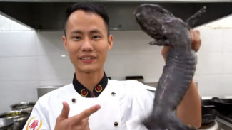 Chef Terkenal Dihujat Warganet karena Memasak Ikan yang Terancam Punah