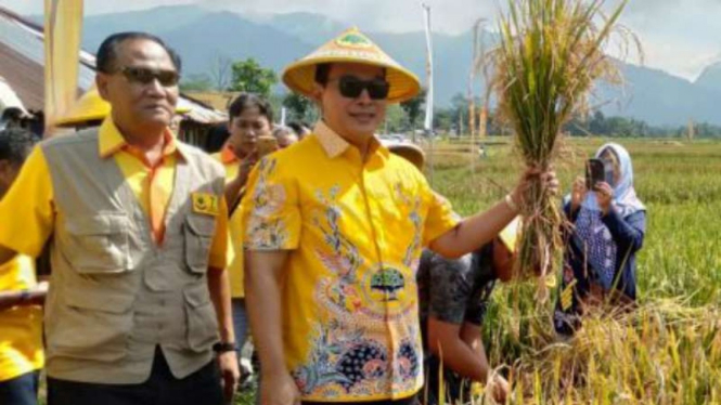 Ketua Umum Partai Berkarya Hutomo Mandala Putra alias Tommy Soeharto panen raya padi di Purbalingga, Jawa Tengah, Jumat, 22 Maret 2019.