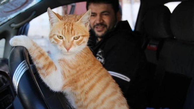 Alaa dengan kucing bernama Ernesto. - BBC