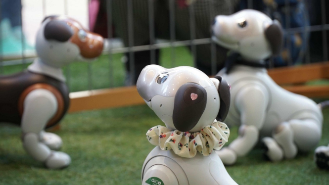 Robot Aibo rilisan dari Sony