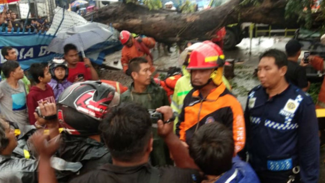 Evakuasi pengendara mobil yang tewas tertimpa pohon tumbang