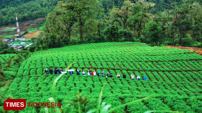 Lanscape Brakseng yang terletak di ketinggian di Kota Wisata Batu, menawarkan keindahan yang luar biasa, mata menjadi manja dan kesejukan menjadi selimut kebahagiaan. (FOTO: Yeni Rachmawati/TIMES Indonesia)