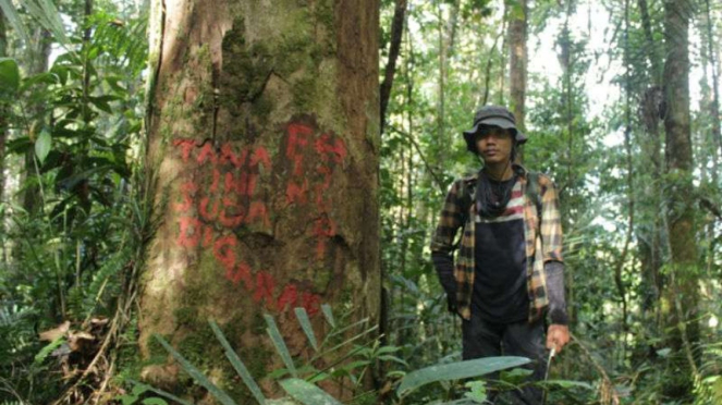 Mencari jerat harimau yang dipasang pemburu di Taman Nasional Kerinci Seblat. 