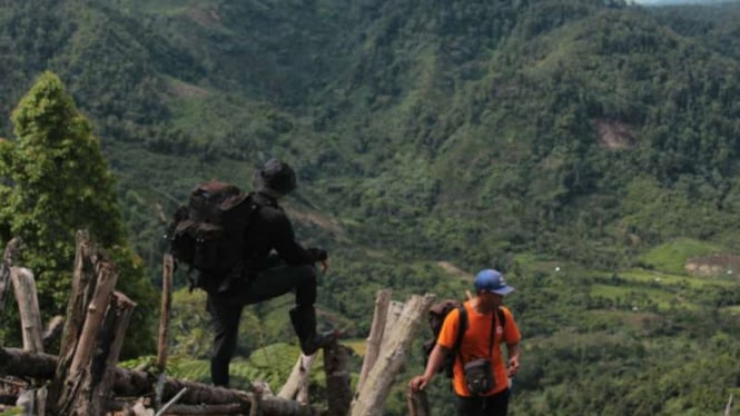 Petugas mencari jerat harimau di Taman Nasional Kerinci Seblat di Bengkulu.