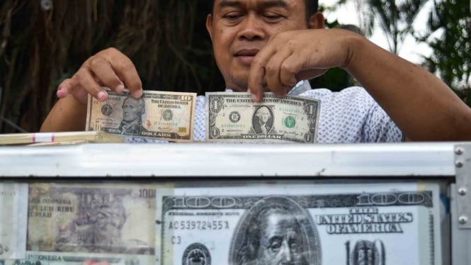 Penyedia jasa tukar uang menata lembaran mata uang dolar AS di Taman Topi, Bogor, Jawa Barat