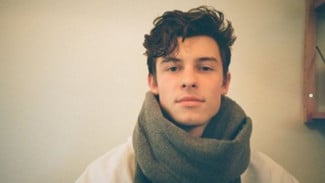 Shawn Mendes Batalkan Konser Akibat Laringitis, Apa Itu?
