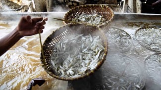 Terlalu Sering Konsumsi Ikan Asin Berisiko Tinggi Picu Kanker, Ini Penjelasan Dokter Tirta