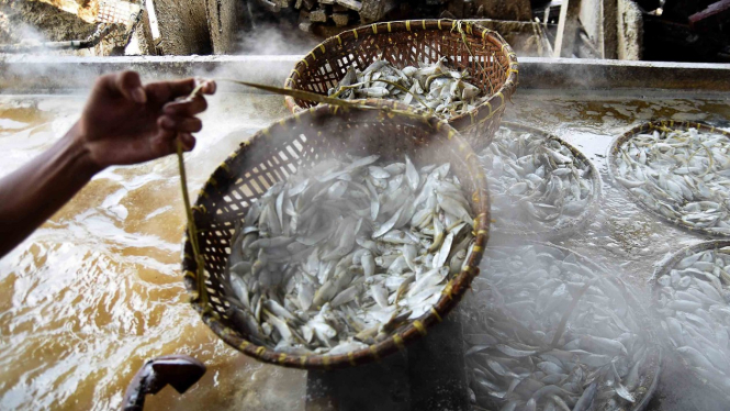 Pekerja memasak ikan yang diasinkan di sentra pengolahan ikan asin, Cilincing, Jakarta Utara, Selasa, 23 April 2019.