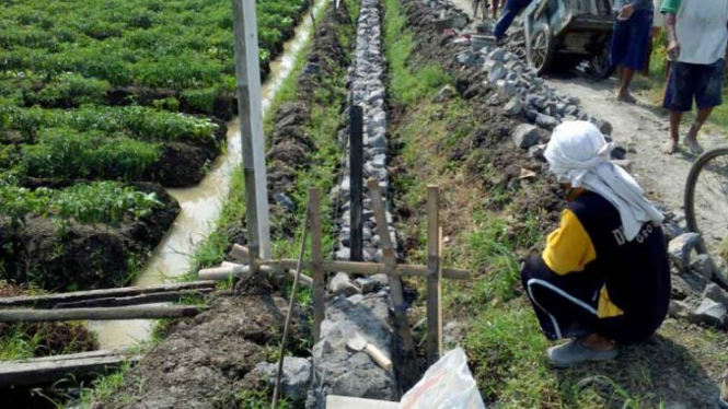 Petani Desa Bojongnangka.