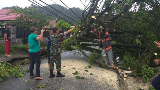 Pohon tumbang di Kota Padang akibat angin kencang disertai hujan, Sabtu 27 April 2019.