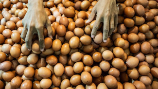 Harga Cabai Turun Tipis diikuti Harga Telur, Catat Daftar Lengkap Komoditas Lainnya
