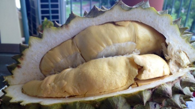 Karena aroma yang menyengat, hotel-hotel di Asia melarang tamu membawa durian.