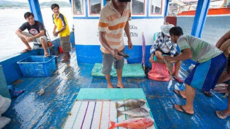 Begini Caranya Supaya Sektor Agribisnis 'Naik Kelas'