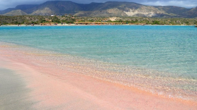 7 Negara Yang Memiliki Pantai Pink Terindah Di Dunia Viva