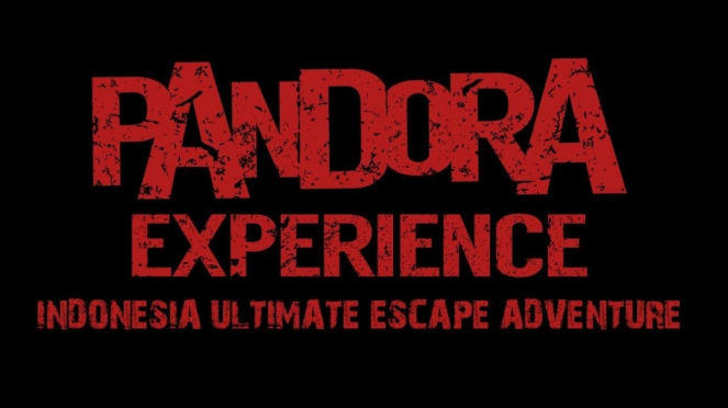 Pandora Experience