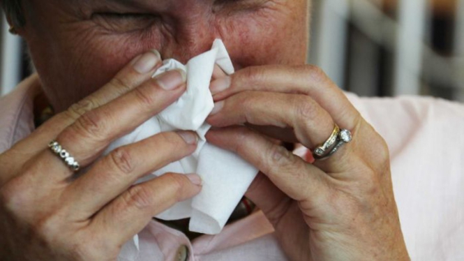 Ribuan warga di Queensland menderita sakit flu sepanjang tahun ini.