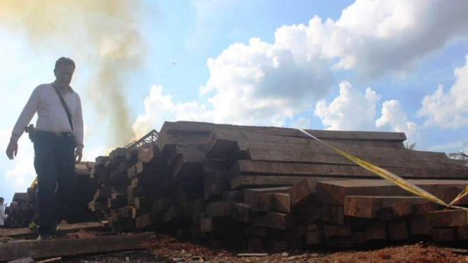 Polri menggerebek pabrik pengolahan kayu ilegal di Jambi 