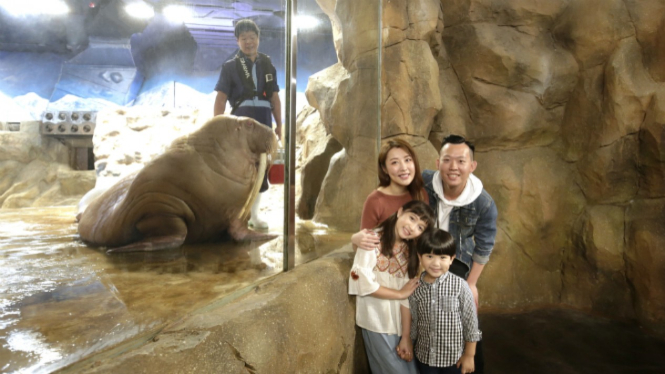 Meet the Walrus, Ocean Park Hong Kong