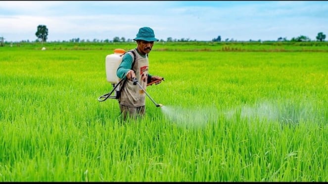 Los agricultores utilizan drogas venenosas. 