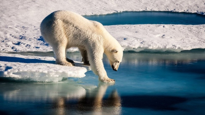 Laporan terbaru menyebutkan risiko yang ekstensif tentang peningkatan temperatur global - Getty Images