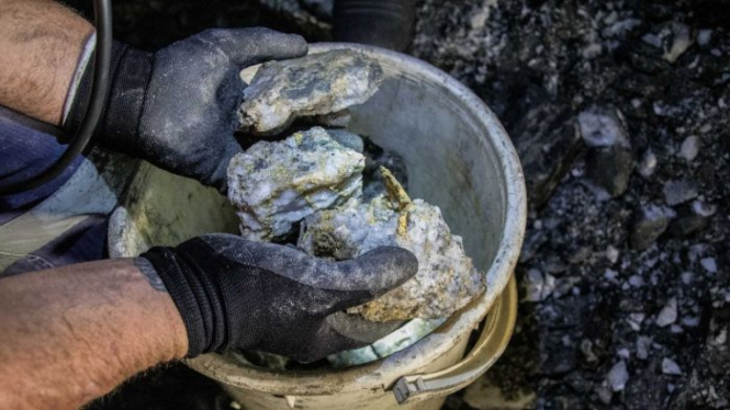 Tiga ember penuh batu dengan emas ditemukan dalam beberapa jam.