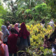 img_title
