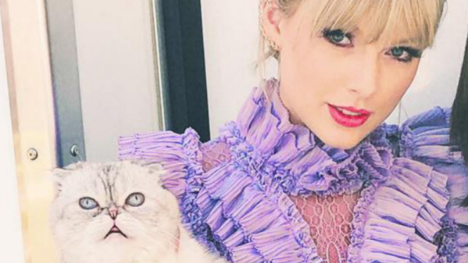 Taylor Swift dan salah satu kucing peliharaannya.