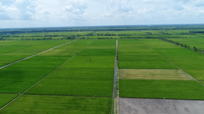 Kementan cetak sawah baru di Kabupaten Aceh Besar.