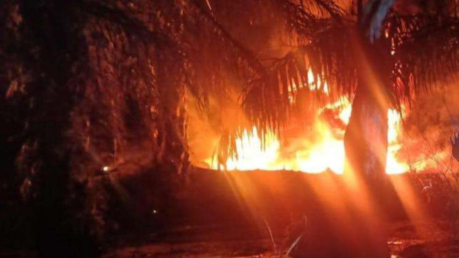 Api membakar penampungan tambang minyak ilegal di Jambi, Kamis, 13 Juni 2019.