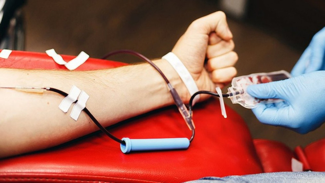Ilustrasi donor darah.-Getty Images