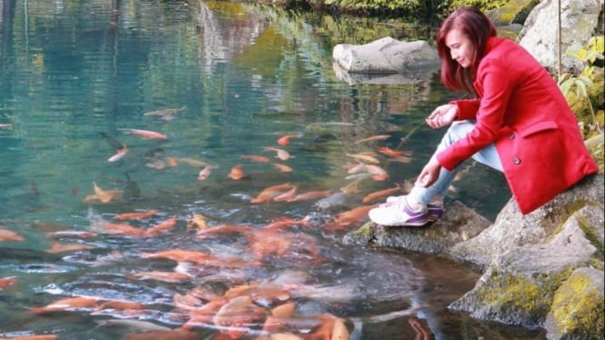 Telaga Biru Cicerem Danau Cantik Penuh Pesona Di Kuningan