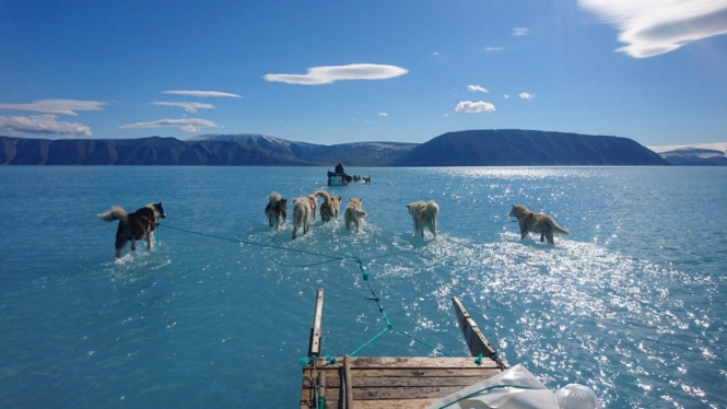 Peneliti iklim, Steffen Olsen, mengabadikan foto ini ketika sedang bepergian melintasi lautan es yang mencair di barat laut Greenland. - Steffen Olsen
