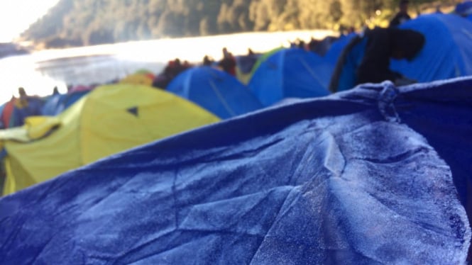 Fenomena frozen atau embun upas di Taman Nasional Bromo Tengger Semeru di Jawa Timur.