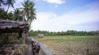 AUTP Lindungi Petani Tasikmalaya dari Rugi Akibat Kekeringan